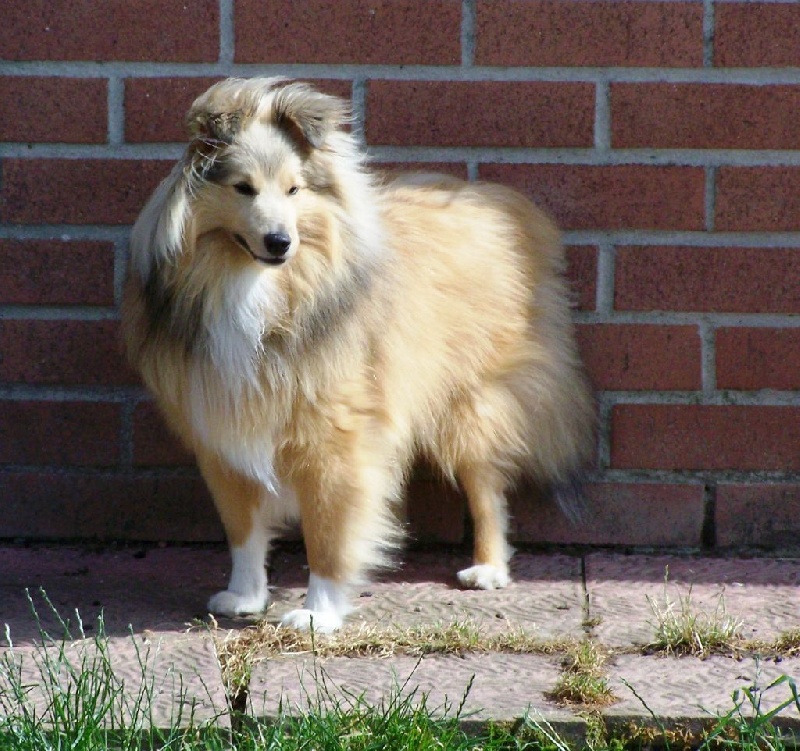 Publication : du prince des marais Auteur : Danielle BEAUCOURT