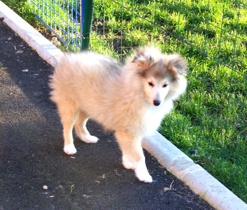 Publication : du prince des marais Auteur : Danielle BEAUCOURT