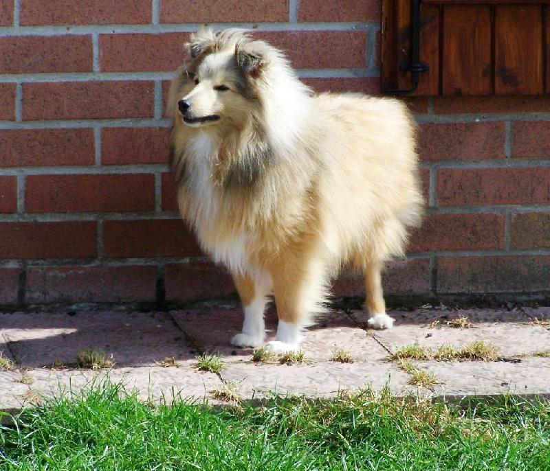 Publication : du prince des marais Auteur : Danielle BEAUCOURT