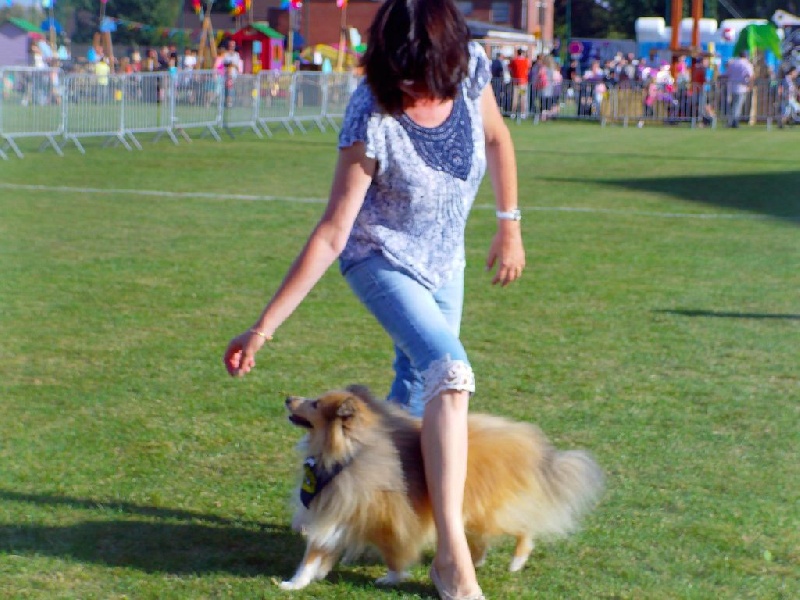 Publication : du prince des marais Auteur : Danielle BEAUCOURT