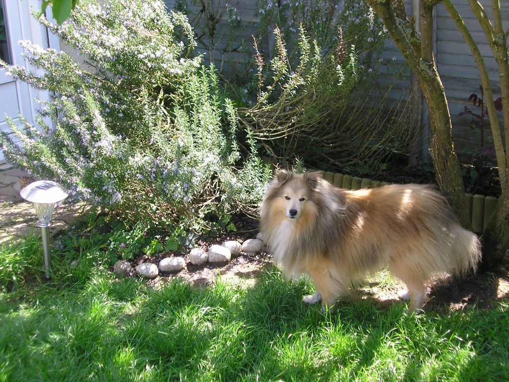 Publication : du prince des marais Auteur : Danielle BEAUCOURT