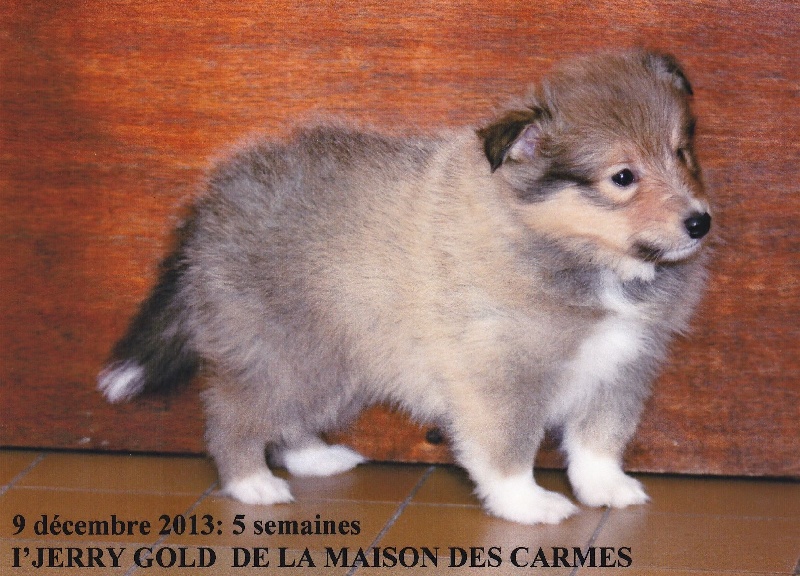 Publication : du prince des marais Auteur : Danielle BEAUCOURT