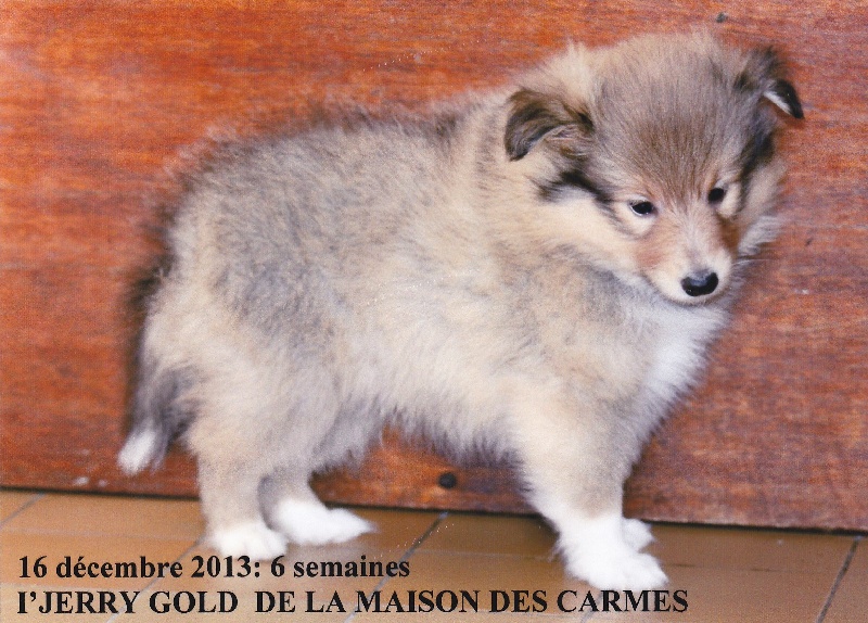 Publication : du prince des marais Auteur : Danielle BEAUCOURT