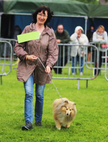 Publication : du prince des marais Auteur : Danielle BEAUCOURT