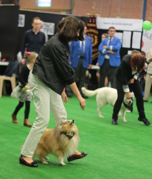 Publication : du prince des marais Auteur : Danielle BEAUCOURT