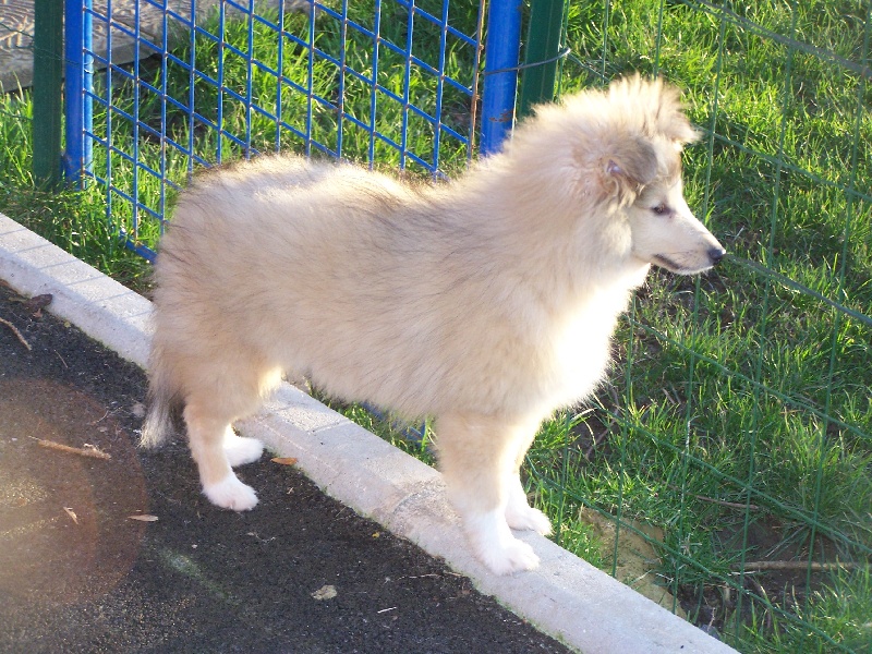 Publication : du prince des marais Auteur : Danielle BEAUCOURT