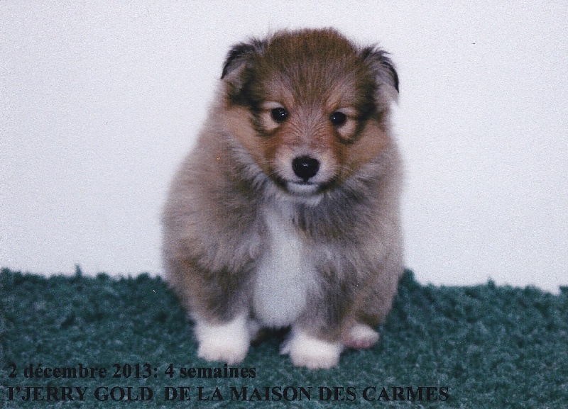 Publication : du prince des marais Auteur : Danielle BEAUCOURT