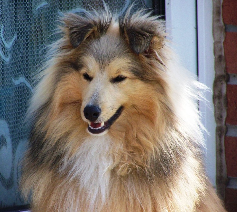 Publication : du prince des marais Auteur : Danielle BEAUCOURT