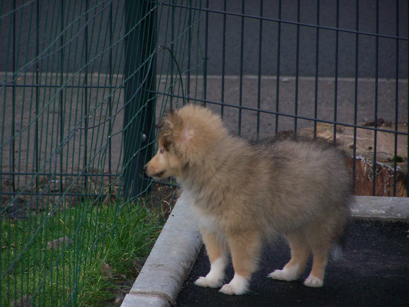 Publication : du prince des marais Auteur : Danielle BEAUCOURT