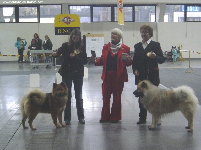 CH. Ayla suntaz des Legendes de Retz - junior world winner 2006