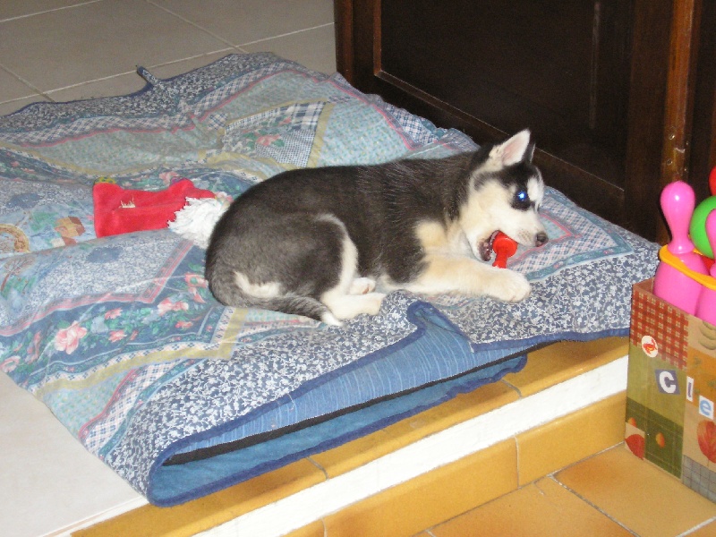 Chanel Of cool water