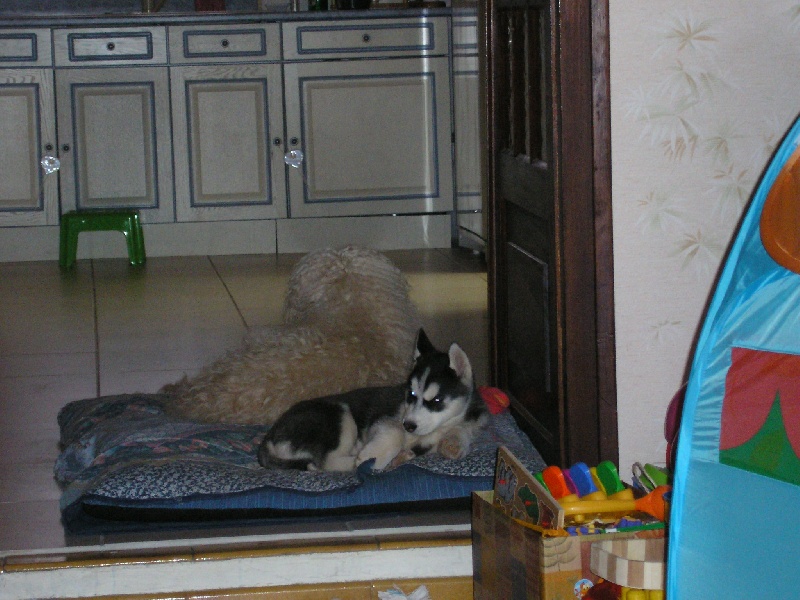 Chanel Of cool water