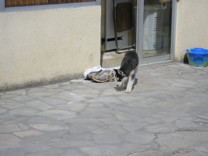 Chanel Of cool water