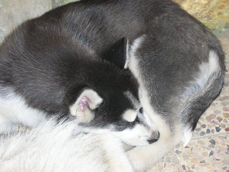 Chanel Of cool water