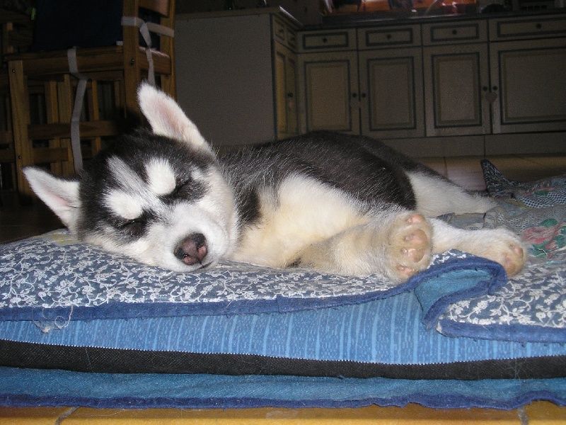 Chanel Of cool water