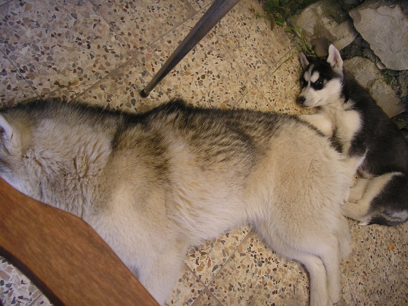 Chanel Of cool water