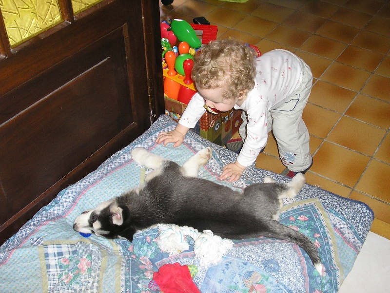 Chanel Of cool water