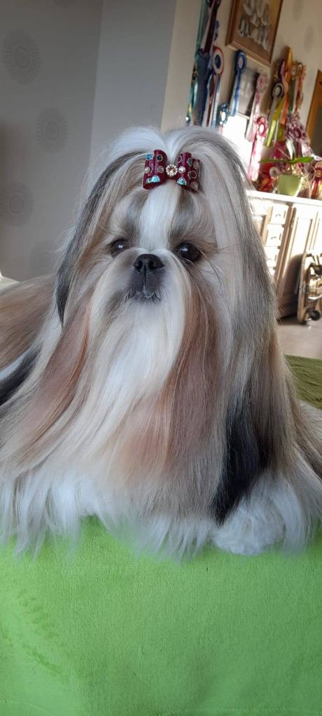 Happy paris queen analand