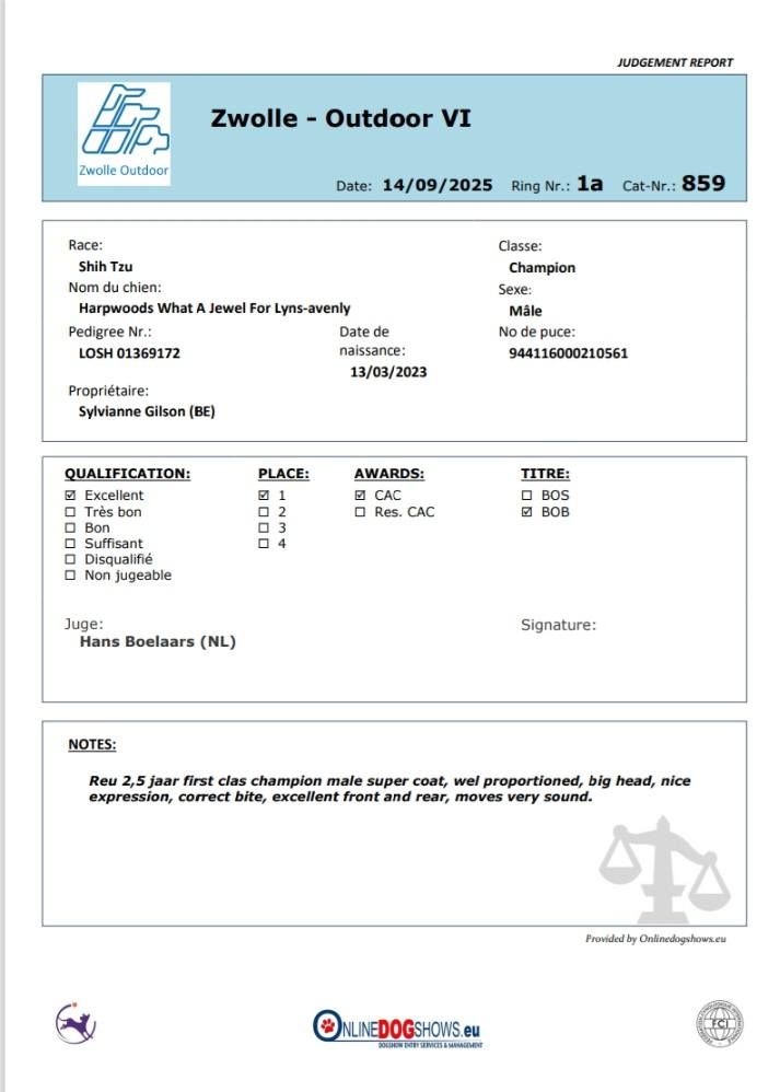CH. harpwoods What a jewel for lyns-avenly - 1er excellent, CAC, BOB