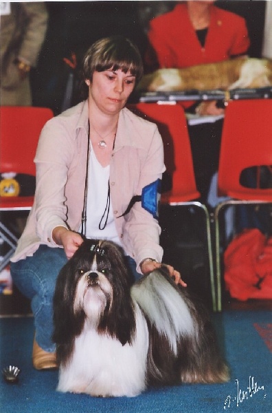 CH. Flashback de la sagesse d'Orient - 1er excellent (classe intermédiaire)