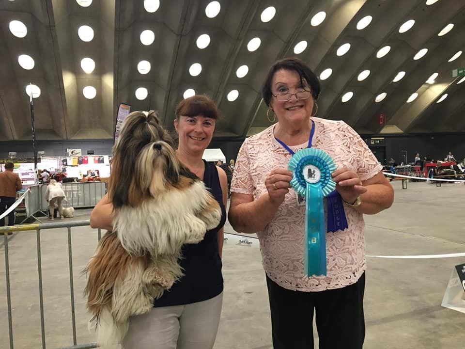 gerainca Edition de luxe - 1er excellent BOB junior, BOB