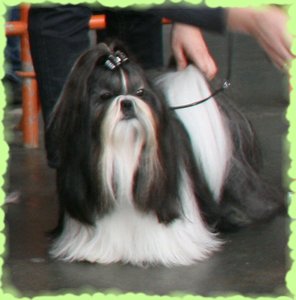 CH. Flashback de la sagesse d'Orient - 2e excellent