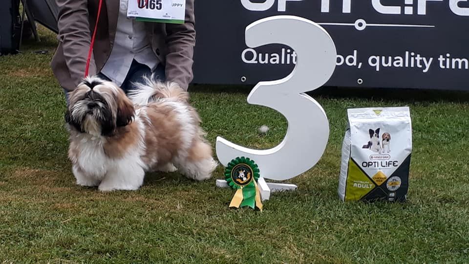 solaris avis Taiki - 1er très prometteur, BOB Baby, BIS3 Baby