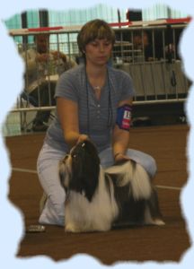 CH. Flashback de la sagesse d'Orient - Excellent