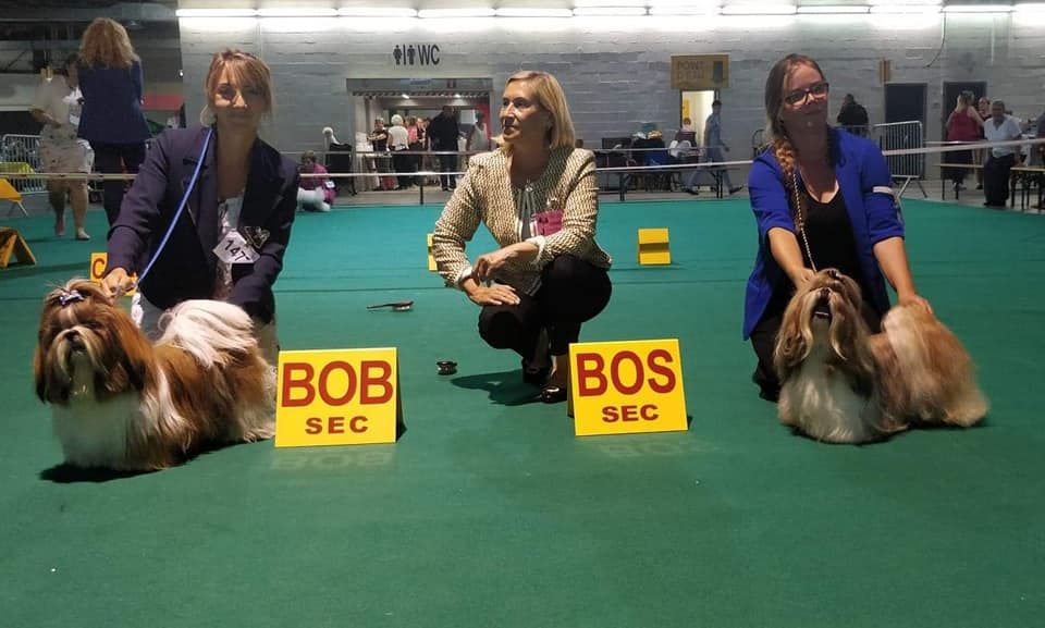 gerainca Edition de luxe - 1er excellent, BOB Jr, BOB