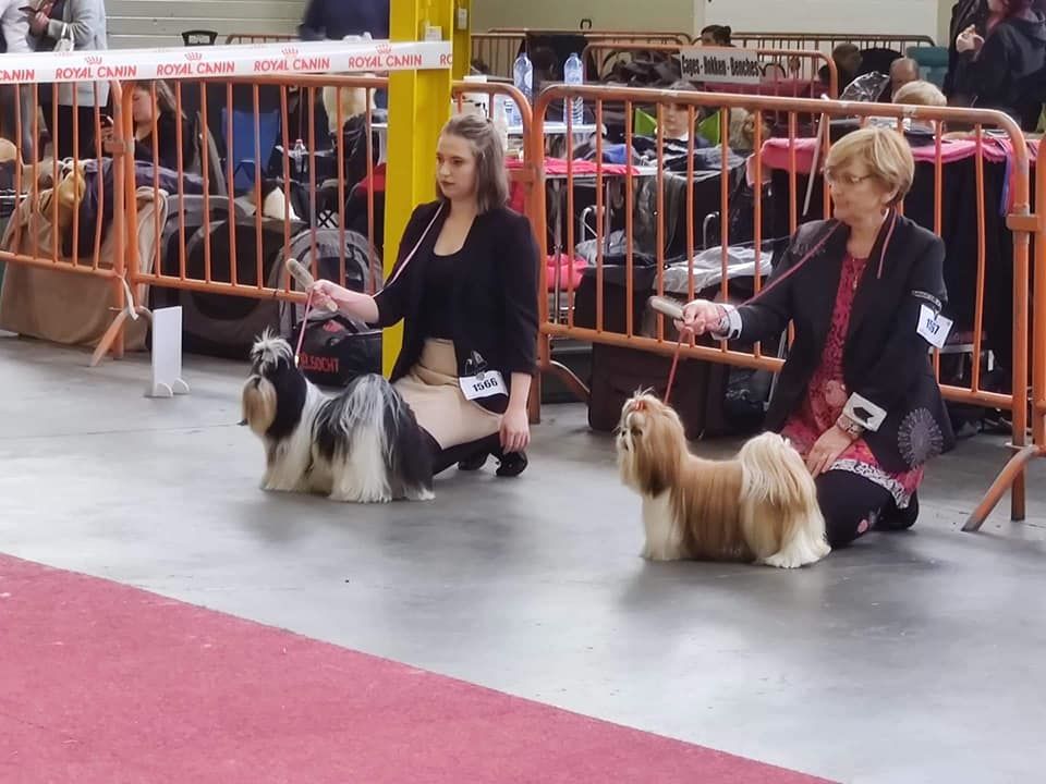 Lyns-Avenly Sweet about me - 3e excellent (classe jeune)