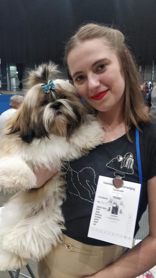 solaris avis Taiki - 1er très prometteur - BOB puppy