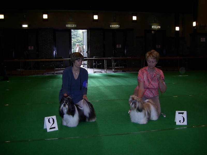 CH. Flashback de la sagesse d'Orient - 2e excellent