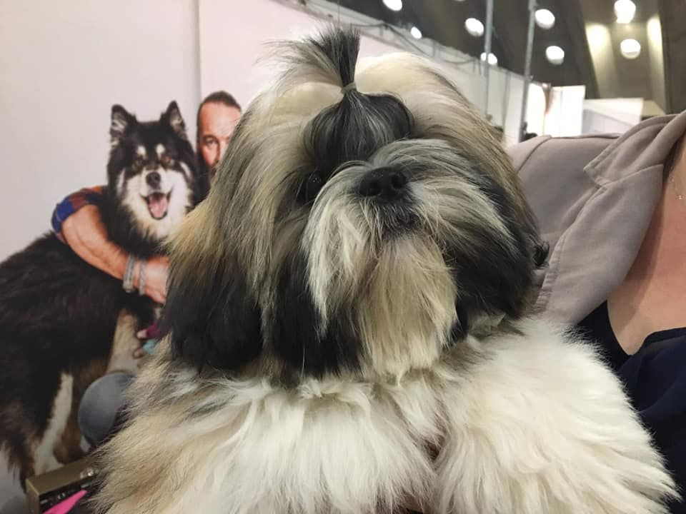 solaris avis Taiki - 1er très prometteur - BOB baby