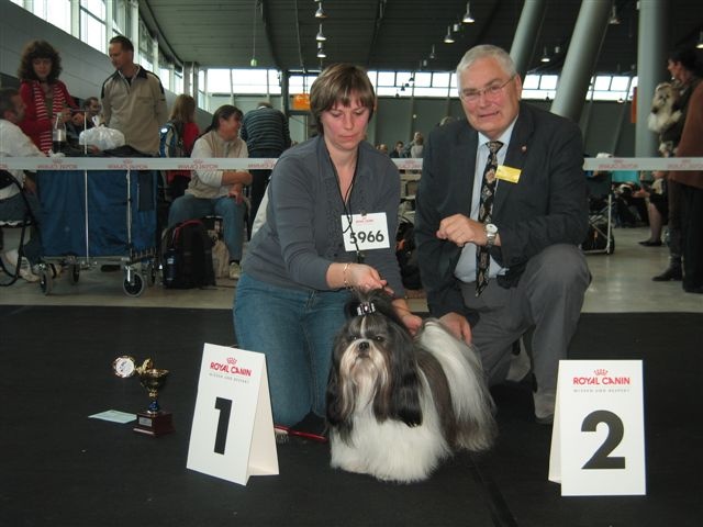 CH. Flashback de la sagesse d'Orient - 1er excellent - CAC - VDH-ch - BOB