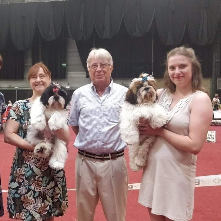 Lyns-Avenly Sweet about me - 1er très prometteur