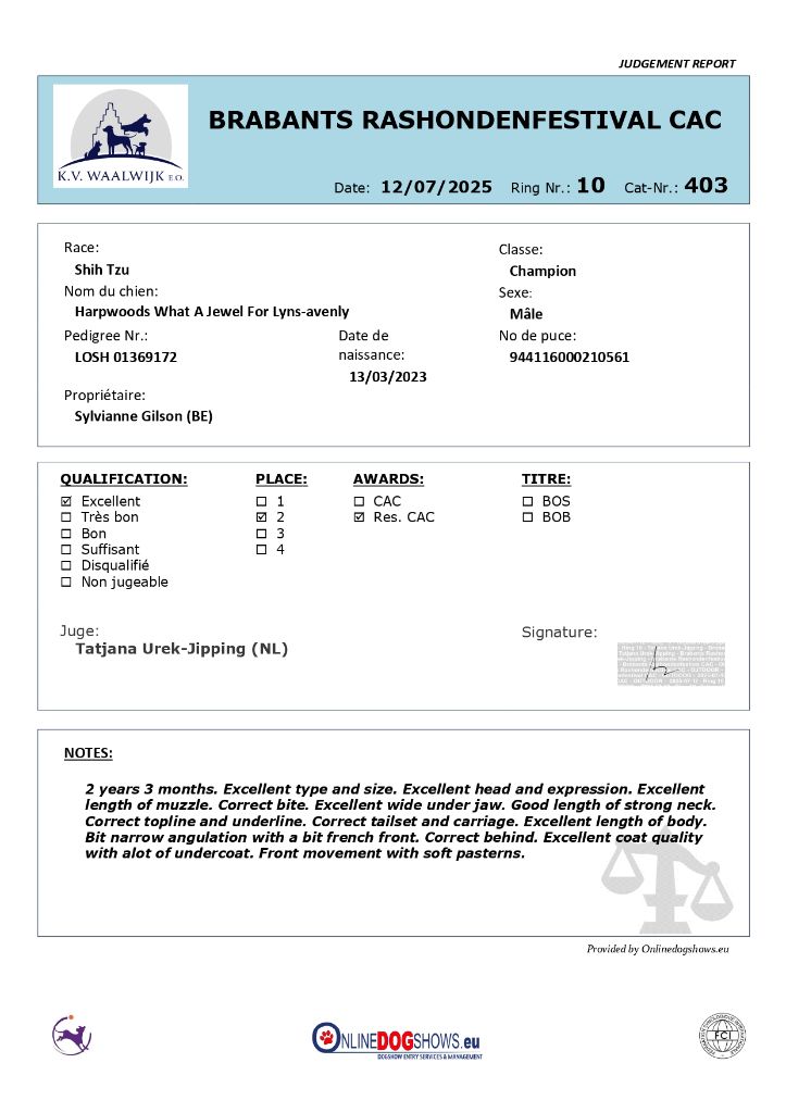 CH. harpwoods What a jewel for lyns-avenly - 2e excellent/3 en classe champion - RCAC (CAC)
