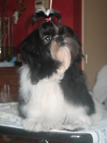 Lyns-Avenly Guyenne - 1er très prometteur