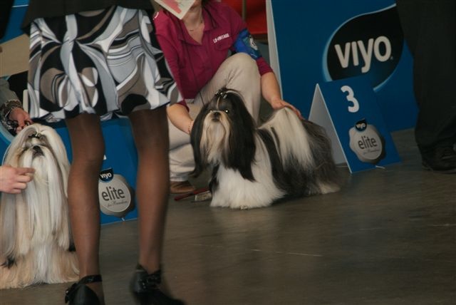 CH. Flashback de la sagesse d'Orient - 2e excellent