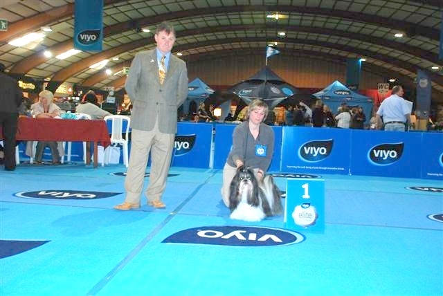 CH. Flashback de la sagesse d'Orient - 1er excellent - CAC - BOB