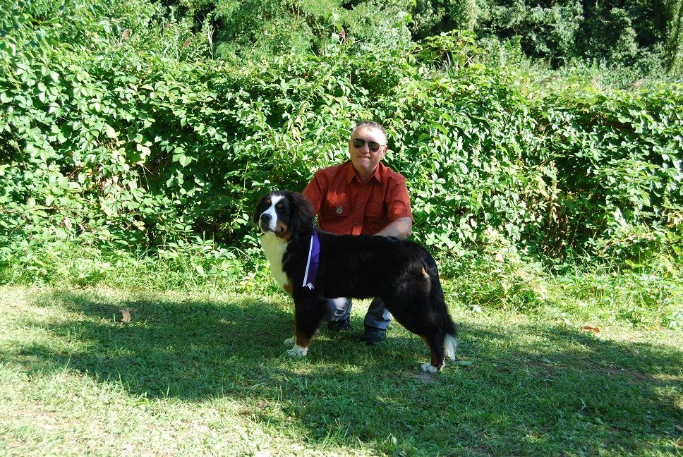 Asabelle Du vol  des alouettes