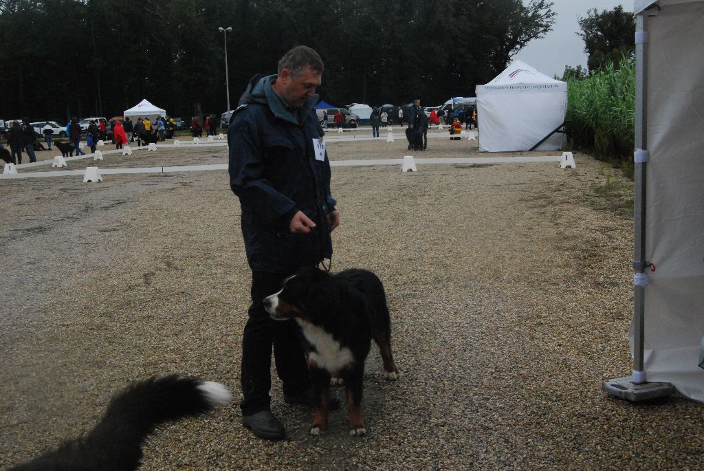Belle Du vol des alouettes - Excellent
