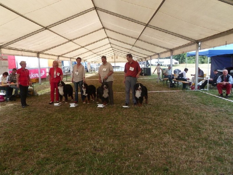 Fly Du vol des alouettes - 4ème Excellent