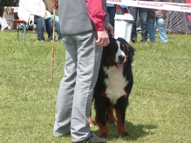 Fly Du vol des alouettes - Excellent