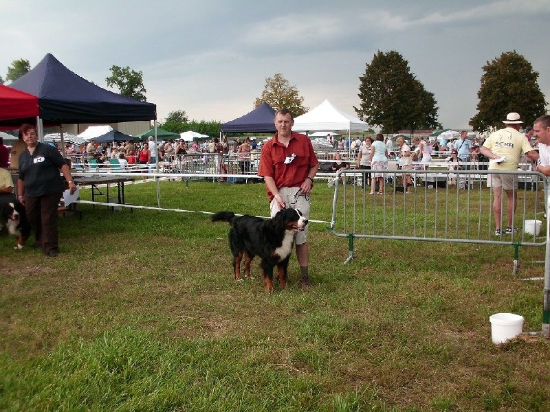 Fly Du vol des alouettes - 1er Excellent et meilleur jeune