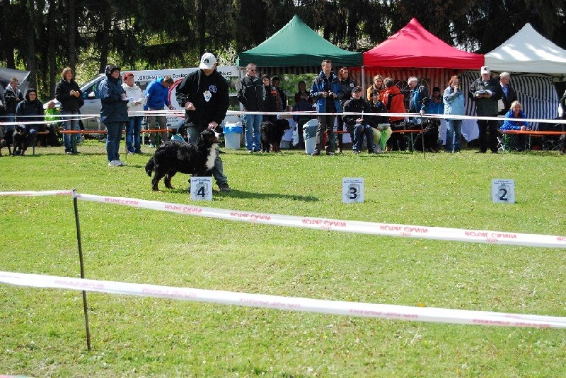 Fly Du vol des alouettes - 4ème Excellent