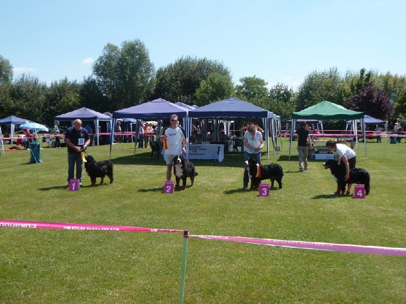 Fly Du vol des alouettes - 2ème Excellent