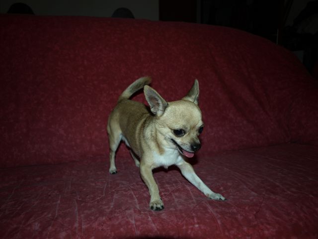 Publication : Du mont vermeil Auteur : Sabine