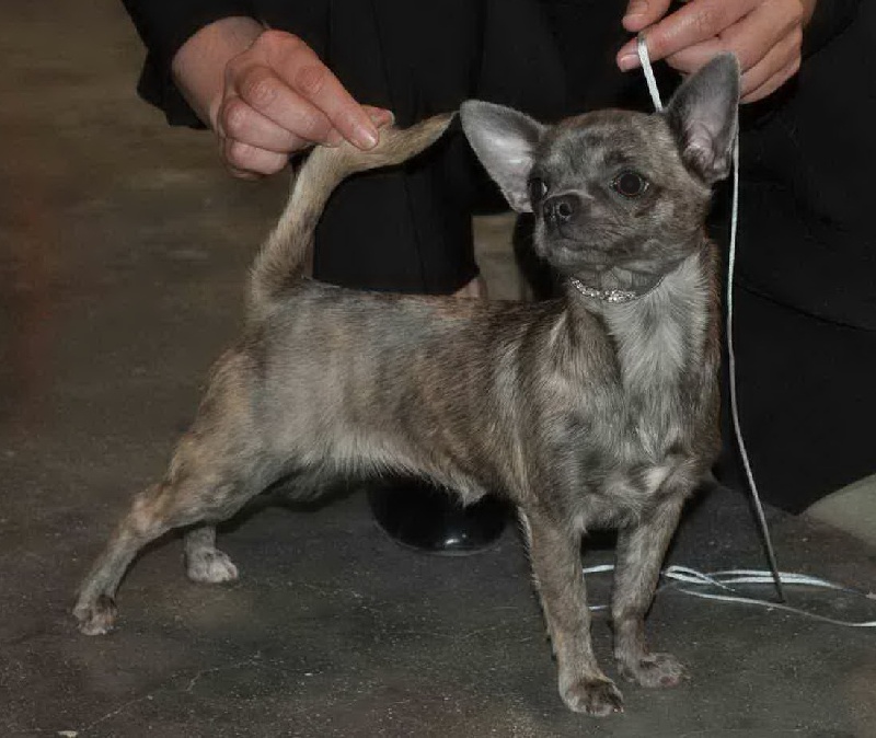 Publication : of Alixora Blue Auteur : Alexandra