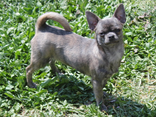 Publication : of Alixora Blue Auteur : Alexandra