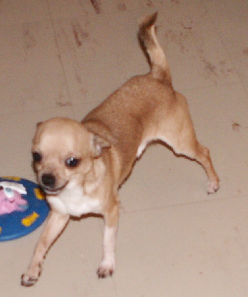 Publication : Du mont vermeil Auteur : Sabine